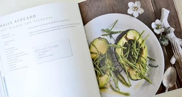 vegetarisch kookboek