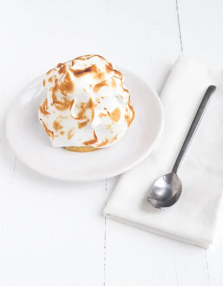 Baked alaska