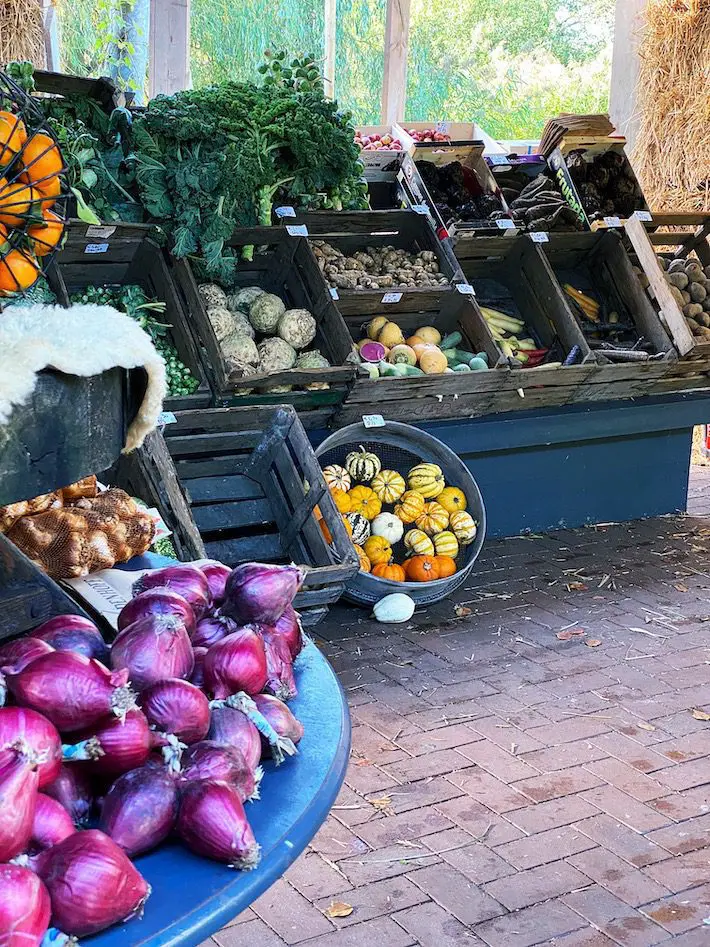 buitenplaats plantage