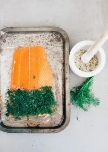 gravad lax maken