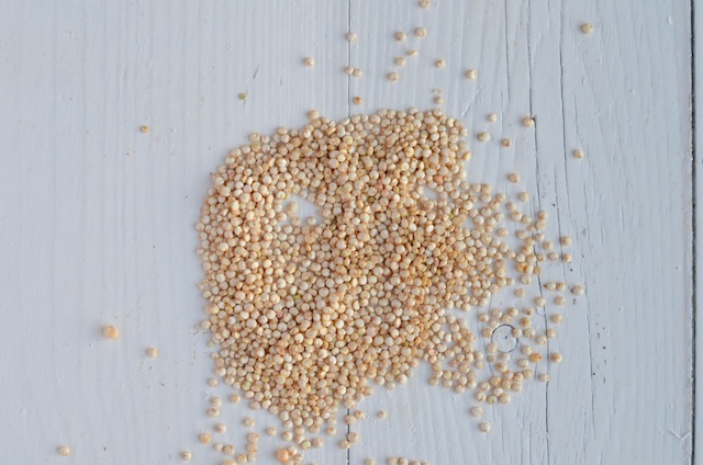 quinoa zaden