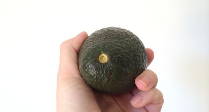 avocado checken
