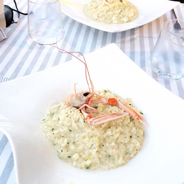 risotto met scampi