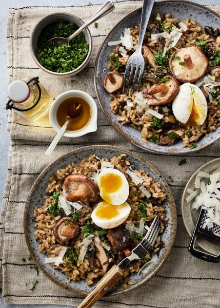 Risotto porcini