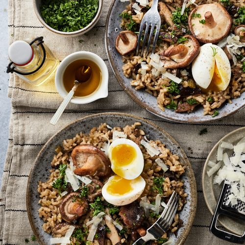 Risotto porcini